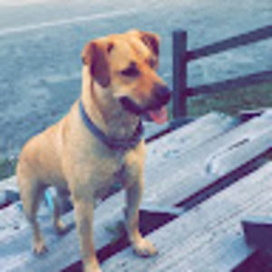 Meet your Posher, Ojc